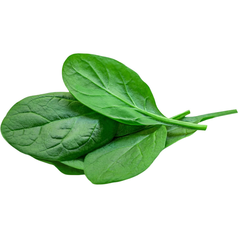 Spinach
