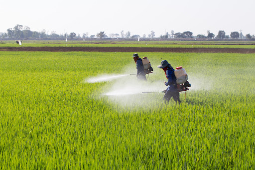 Pesticides background