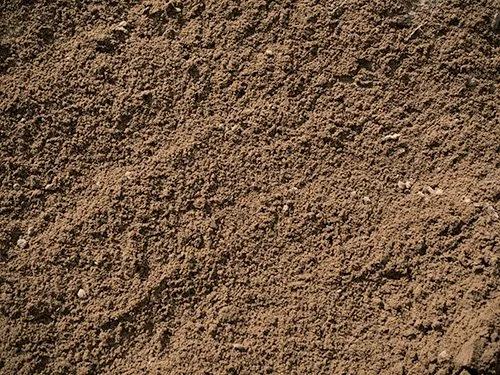 Sandy Loam Soil